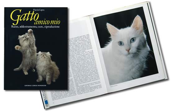 mondadori book